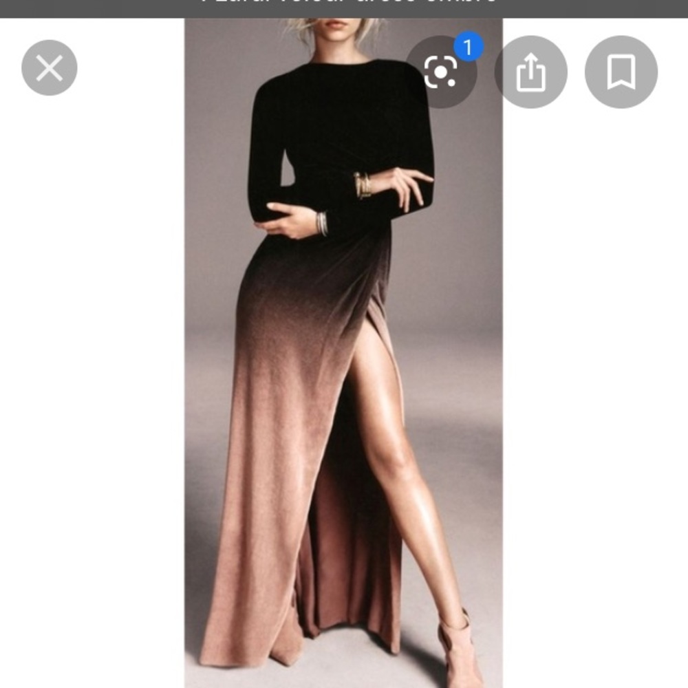 Zawful gorgeous velour 20s glam gown worn once m